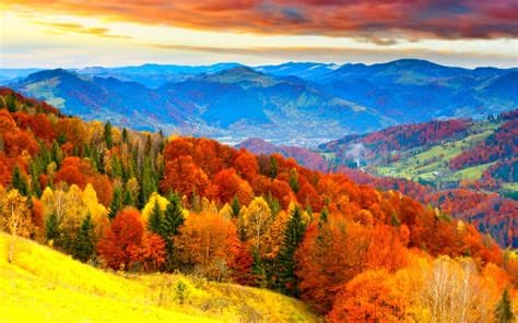 Eden Reforestation Projects